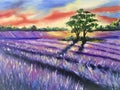 Oil painting. Lilac oil paints. Artistic painting on canvas. hobby drawing