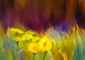 Oil painting nature grass flowers-yellow dandelions