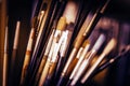 Oil Painting Paintbrushes