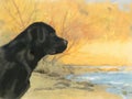 Oil painting portrait of black labrador in autumn Royalty Free Stock Photo