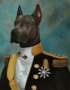 oil painting of Prince Dog background, Renaissance Dog portrait of a general, Lord, admiral, Emperor, commodore. Custom Funny Pet Royalty Free Stock Photo