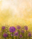 Oil painting Purple onion flower in the meadows