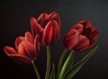 Oil Painting realistic style texture painting flower still life painting art painted color image wallpaper and backgrounds canvas