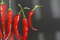 Oil painting red hot chili peppers on canvas. Piece of red chili peppers. Black and red. Oil paints. Close-up. Macro. Copy space. Royalty Free Stock Photo