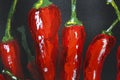 Oil painting red hot chili peppers on canvas. Piece of red chili peppers. Black and red. Oil paints. Close-up. Macro. Copy space. Royalty Free Stock Photo