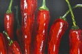 Oil painting red hot chili peppers on canvas. Piece of red chili peppers. Black and red. Oil paints. Close-up. Macro. Copy space. Royalty Free Stock Photo