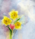 Oil painting red tulip and yellow daffodils flowers