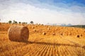 Oil painting summer landscape - hay bales on the field after harvest.