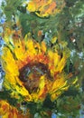 Oil painting, Sunflower flowers. impressionism style, flower painting, still painting canvas, artist Royalty Free Stock Photo