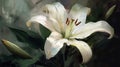 An oil painting of a white lily. AI Generated Royalty Free Stock Photo