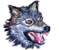 Oil painting wolf head