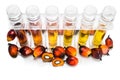 Oil palm biofuel biodiesel with test tubes on white background. Royalty Free Stock Photo