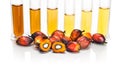 Oil palm biofuel biodiesel with test tubes on white background. Royalty Free Stock Photo