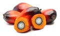 Oil palm fruit Royalty Free Stock Photo