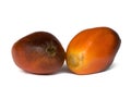 Oil Palm Fruits Royalty Free Stock Photo