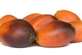 Oil Palm Fruits Royalty Free Stock Photo