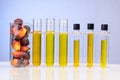 Oil palm fruits with biofuel in beaker test tubes in laboratory in blue background Royalty Free Stock Photo