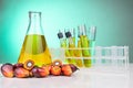 Oil palm fruits with distilled in beaker test tubes in laboratory. Royalty Free Stock Photo