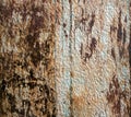 Oil panted texture Royalty Free Stock Photo