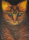 Oil pastels painting of cat isolated on black background, abstract colored cat, pet