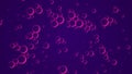 Oil pink drops in water. Abstract purple background. Macro shot of various air bubbles in water rising up on light dark background Royalty Free Stock Photo