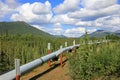 Oil pipeline along Dalton Highway, leading from Valdez, Fairbanks to Prudhoe Bay, Alaska, USA