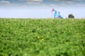 Oil pump jack on field Royalty Free Stock Photo