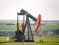 Oil Pump Jack in a field of ripening Canola, Alberta, Canada. Oil and Agriculture. Royalty Free Stock Photo