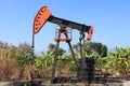 Oil Pump Jack (Sucker Rod Beam) in The Banana Field Royalty Free Stock Photo