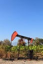 Oil Pump Jack (Sucker Rod Beam) in The Banana Field on Sunny Day Royalty Free Stock Photo