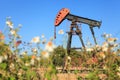 Oil Pump Jack (Sucker Rod Beam) in The Field Royalty Free Stock Photo