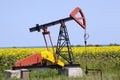 Oil pump with sunflowers field Royalty Free Stock Photo