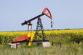 Oil pump with sunflowers field Royalty Free Stock Photo