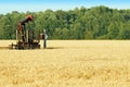 Oil pump in a wheat field