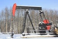 Oil pumpjack