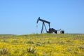 Oil Pumpjack on Prairie Royalty Free Stock Photo