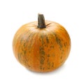 Oil Pumpkin