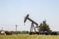 Oil rig pump jack out in field with cows grazing nearby Royalty Free Stock Photo