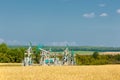 Oil rocking chair on the field sown with wheat Royalty Free Stock Photo