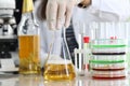 Oil sample, chemical experience in laboratory. Royalty Free Stock Photo