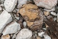 Oil shale stone, background. Sedimentary rocks rich in kerogen. The shale mining site, Aidu quarry in Estonia Royalty Free Stock Photo