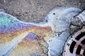 An oil slick of gasoline or oil on an asphalt road flows into a storm drain Royalty Free Stock Photo