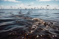 oil slick on the surface of the water, with seagulls flying overhead