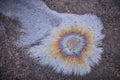 Oil spill on asphalt in the form of a stain. Abstract background from motor oil, gas or petrol spilled on asphalt. Royalty Free Stock Photo