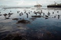 oil spill in the bay, with birds and fish swimming among the slicks Royalty Free Stock Photo