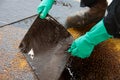 Oil spill cleanup on working area. danger for the nature Royalty Free Stock Photo