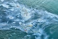 Oil spill on Sea water, top view Royalty Free Stock Photo