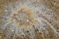 Oil Spill on Wet Concrete Surface Royalty Free Stock Photo