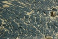 Oil Spilled Pollution Royalty Free Stock Photo
