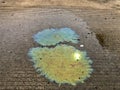 Oil spills on the floo